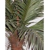 Dirbtinis augalas Palmė 180cm