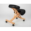 Habys Balansinė klūpėjimo kėdutė Ergo Simple Wood