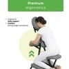 Habys Vertikalaus masažo kėdė Flexo Comfy Base pilkas