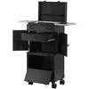 Activeshop Meistro lagaminas V21, juodas