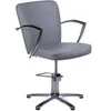 Kirpyklos kėdė PROFESSIONAL HAIRDRESSING CHAIR LIVIO BRUSSEL LIGHT Pilkas