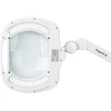 Activeshop Kosmetologinė LED lempa su lupa ir stalviršio spaustuvu Elegante 6030 3D, balta
