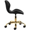 Activeshop Kosmetologinė meistro kėdutė QS-06G Juodas