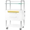 Activeshop Kosmetologo / podologo staliukas 6052T