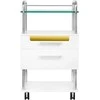 Activeshop Kosmetologo / podologo staliukas 6052T