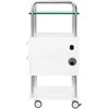 Activeshop Kosmetologo / podologo staliukas 6052T