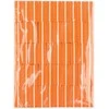 Activeshop Mini poliravimo blokelis (oranžinis) 50 vnt.