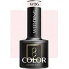 Activeshop OCHO NAILS hibridinis lakas W06 - 5 g