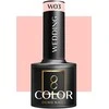 Activeshop OCHO NAILS lakų kolekcija