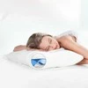 Vandens pagalvė Lanaform Aqua Comfort