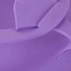 Activeshop Vienkartinės putplasčio šlepetės 10 porų mišrių spalvų, Universalus