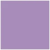 Dolovija Spalvotas popierius 80g A4/100l violetinis