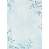 Galeria Papieru Popierius diplomams A4 190g 20l VERA