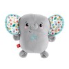 FISHER-PRICE Raminantis vibruojantis Drambliukas
