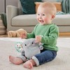 FISHER-PRICE Raminantis vibruojantis Drambliukas