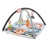 Fisher Price FP veiklos kilimėlis su šviečiančiu ir grojančiu gyvūnėliu