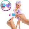 Mattel BARBIE DREAM BESTIES lėlės Malibu grožio rinkinys (JGG38)