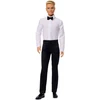 Mattel BARBIE KEN HOLIDAY kolekcinis Kenas (JJX87)