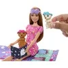 Mattel BARBIE lėlės ir šunelių pižamų vakarėlio rinkinys (HXN01)