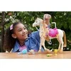 Mattel „Barbie Mysteries“ žirgo rinkinys