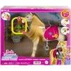 Mattel „Barbie Mysteries“ žirgo rinkinys