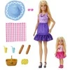 Mattel BARBIE pikniko temos lėlių rinkinys (JBF43)