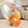 Mattel FISHER-PRICE riedantis katytės veidrodėlis (JLF98)