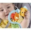 Mattel FISHER-PRICE sensorinis žaislas (JHB46)