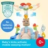 Mattel FISHER-PRICE veiklos kilimėlis (HYR60)