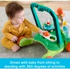 Mattel FISHER-PRICE vėžliuko vaikštynė (JKD63)