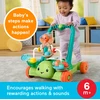 Mattel FISHER-PRICE vėžliuko vaikštynė (JKD63)