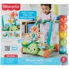 Mattel FISHER-PRICE vėžliuko vaikštynė (JKD63)