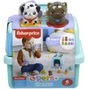 Mattel FISHER-PRICE formelių rūšiuoklė – Naminiai gyvūnėliai (HTW93)