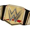 Mattel WWE UNDISPUTED UNIVERSAL čempiono diržas (HYJ35)