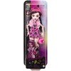 MONSTER HIGH lėlė (HRC12)