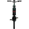 None Dviratis 28" elektrinis Tenways AGO T 250Wh unisex žalias 48cm one size