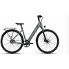 Dviratis 28" elektrinis Tenways CGO800S 374Wh unisex pilkas matinis 48cm one size