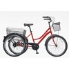 Kita Triratis Bissan Bike PORTER 24 raudonas