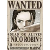 Plakatas One Piece