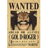 Plakatas One Piece