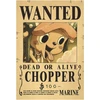 Plakatas One Piece