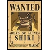 Plakatas One Piece
