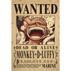 Plakatas One Piece