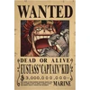 Plakatas One Piece
