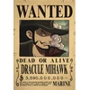 Plakatas One Piece