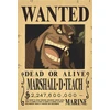 Plakatas One Piece