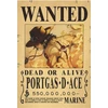 Plakatas One Piece