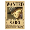 Plakatas One Piece