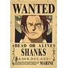 Plakatas One Piece