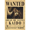 Plakatas One Piece
